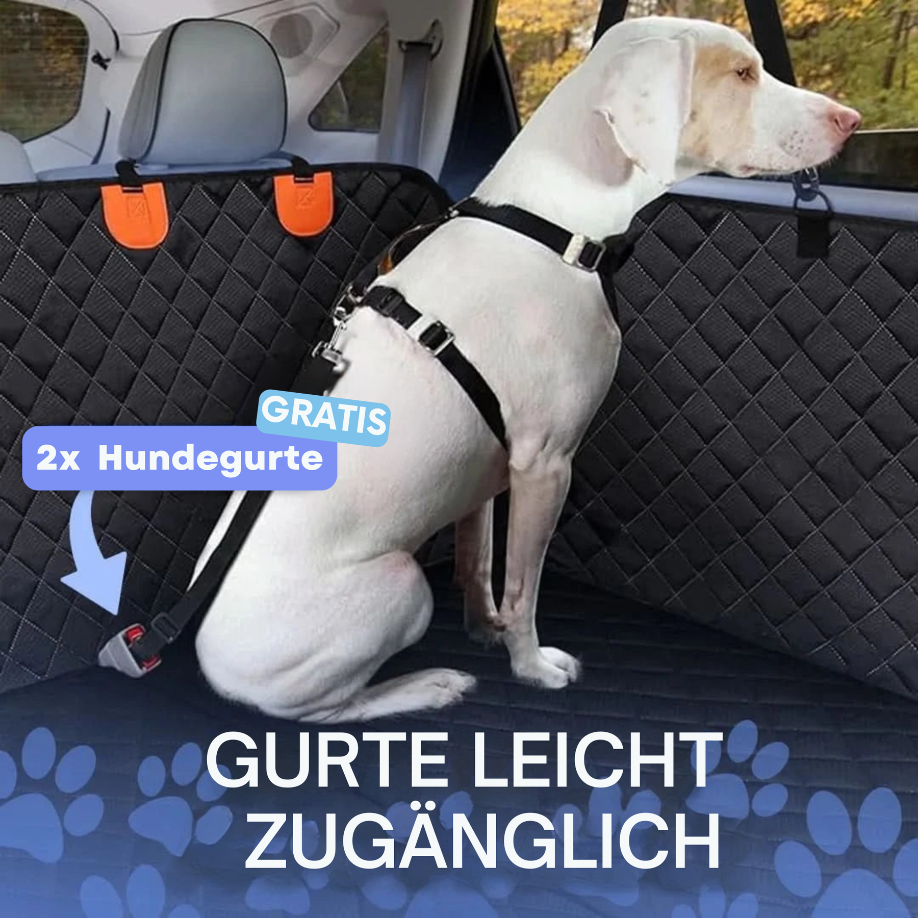 AutoPlatinum - Rücksitz Erweiterung