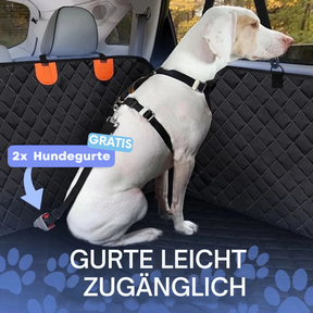 AutoPlatinum - Rücksitz Erweiterung
