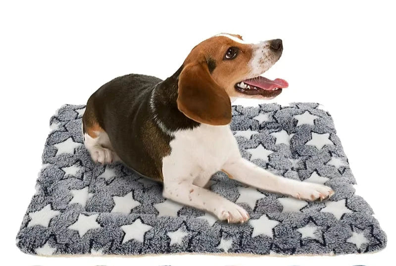 Premium-Komfortdecke