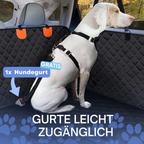 AutoPlatinum - Rücksitz Erweiterung
